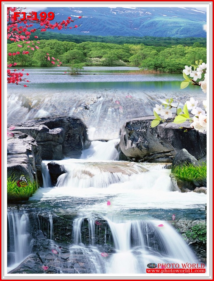 วอลเปเปอร์รูปภาพติดผนังสั่งทำ มีภาพให้เลือกกว่า 50,000 ภาพ ออกแบบกราฟฟิค หรือ รูปภาพตามที่ท่านกำหนด ในสไตล์ท่านเอง "custom made"