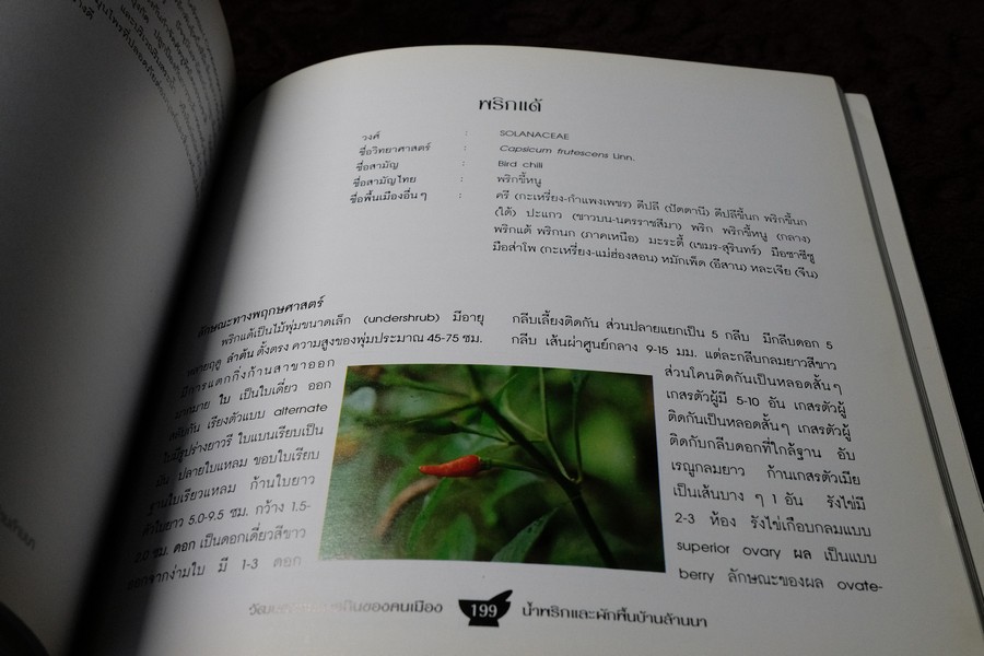 วัฒนธรรมการกินของคนพื้นเมือง น้ำพริกเเละผักพื้นบ้านล้านนา พิมพ์ปี 2543