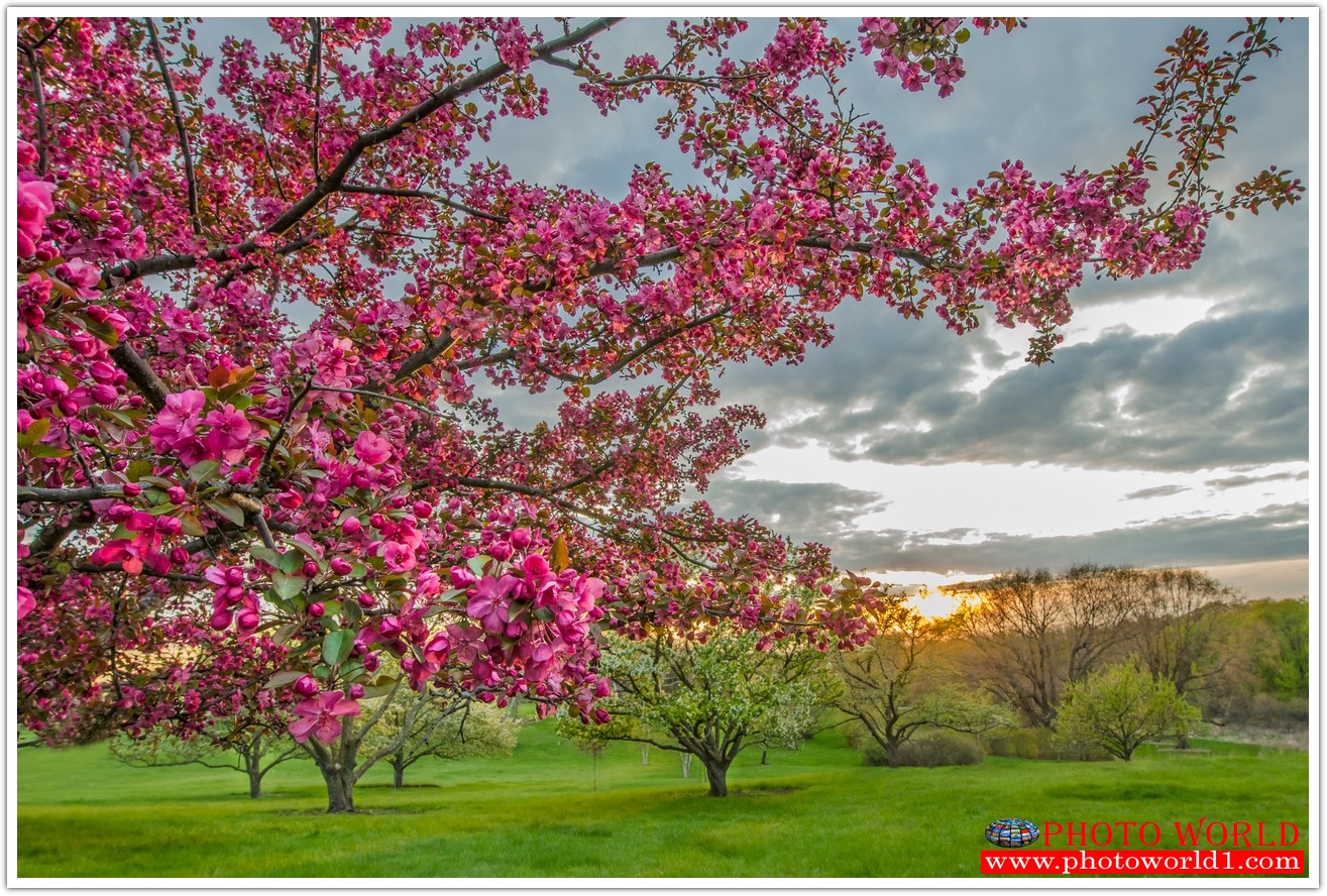 วอลเปเปอร์รูปภาพติดผนังสั่งทำ มีภาพให้เลือกกว่า 50,000 ภาพ ออกแบบกราฟฟิค หรือ รูปภาพตามที่ท่านกำหนด ในสไตล์ท่านเอง "custom made"