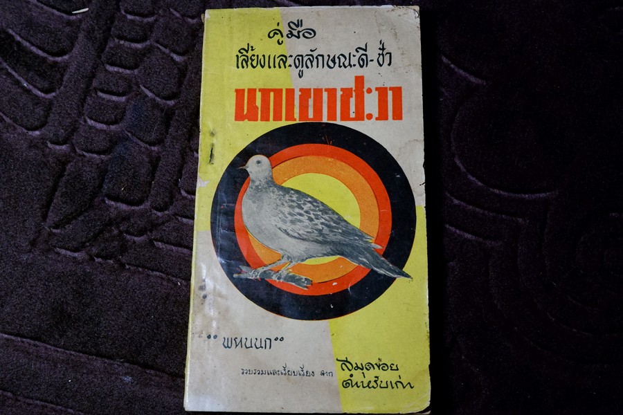 คู่มือเลี้ยงเเละดูลักษณะ นกเขาชะวา โดย พรานนก ปี 2504
