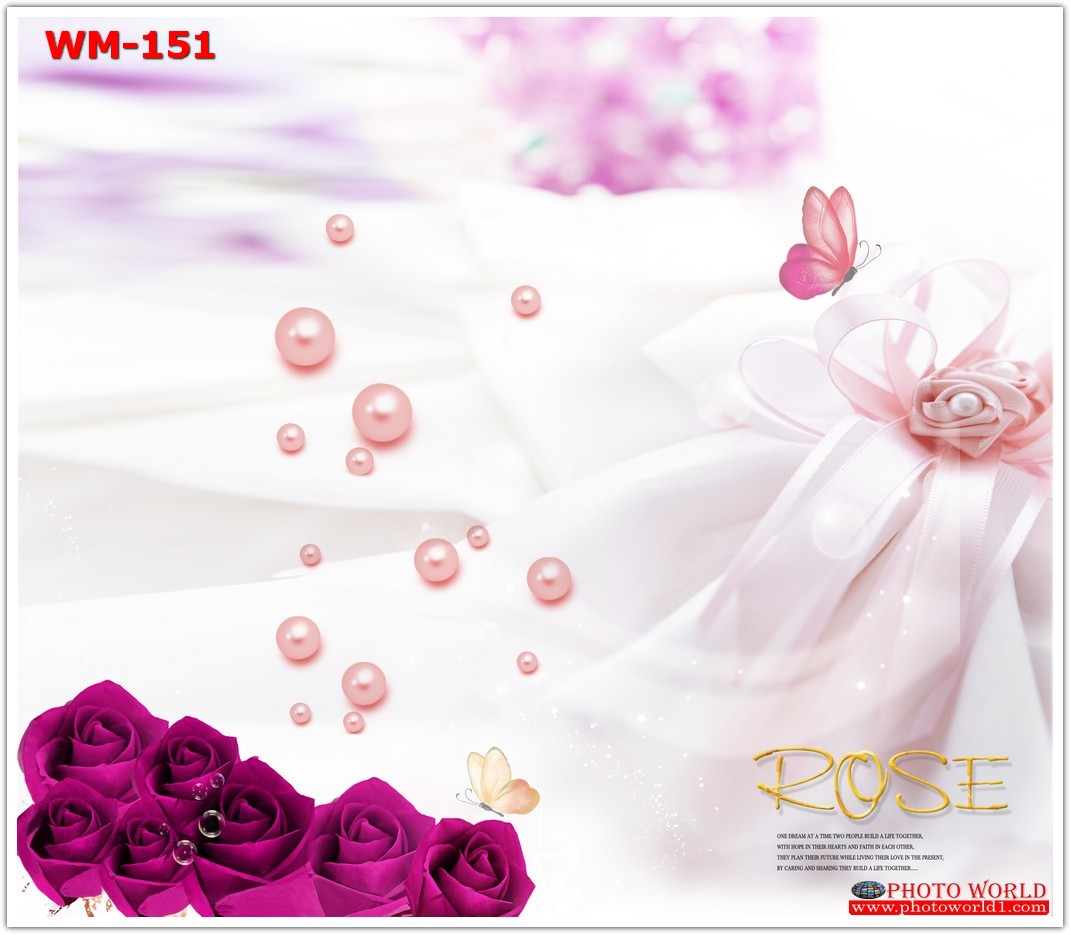 วอลเปเปอร์รูปภาพติดผนังสั่งทำ มีภาพให้เลือกกว่า 50,000 ภาพ ออกแบบกราฟฟิค หรือ รูปภาพตามที่ท่านกำหนด ในสไตล์ท่านเอง "custom made"