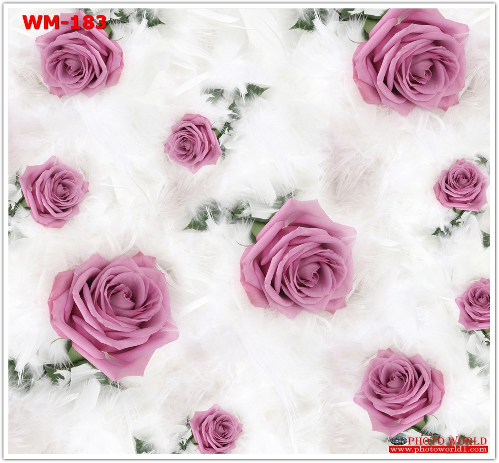 วอลเปเปอร์รูปภาพติดผนังสั่งทำ มีภาพให้เลือกกว่า 50,000 ภาพ ออกแบบกราฟฟิค หรือ รูปภาพตามที่ท่านกำหนด ในสไตล์ท่านเอง "custom made"