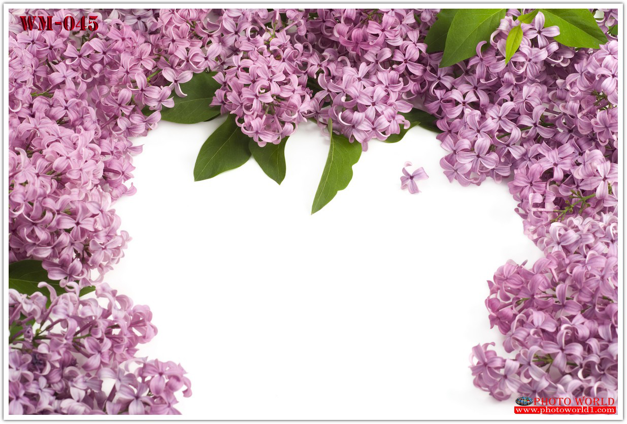 วอลเปเปอร์รูปภาพติดผนังสั่งทำ มีภาพให้เลือกกว่า 50,000 ภาพ ออกแบบกราฟฟิค หรือ รูปภาพตามที่ท่านกำหนด ในสไตล์ท่านเอง "custom made"