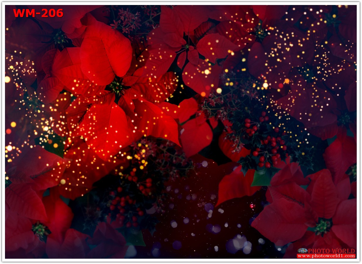 วอลเปเปอร์รูปภาพติดผนังสั่งทำ มีภาพให้เลือกกว่า 50,000 ภาพ ออกแบบกราฟฟิค หรือ รูปภาพตามที่ท่านกำหนด ในสไตล์ท่านเอง "custom made"