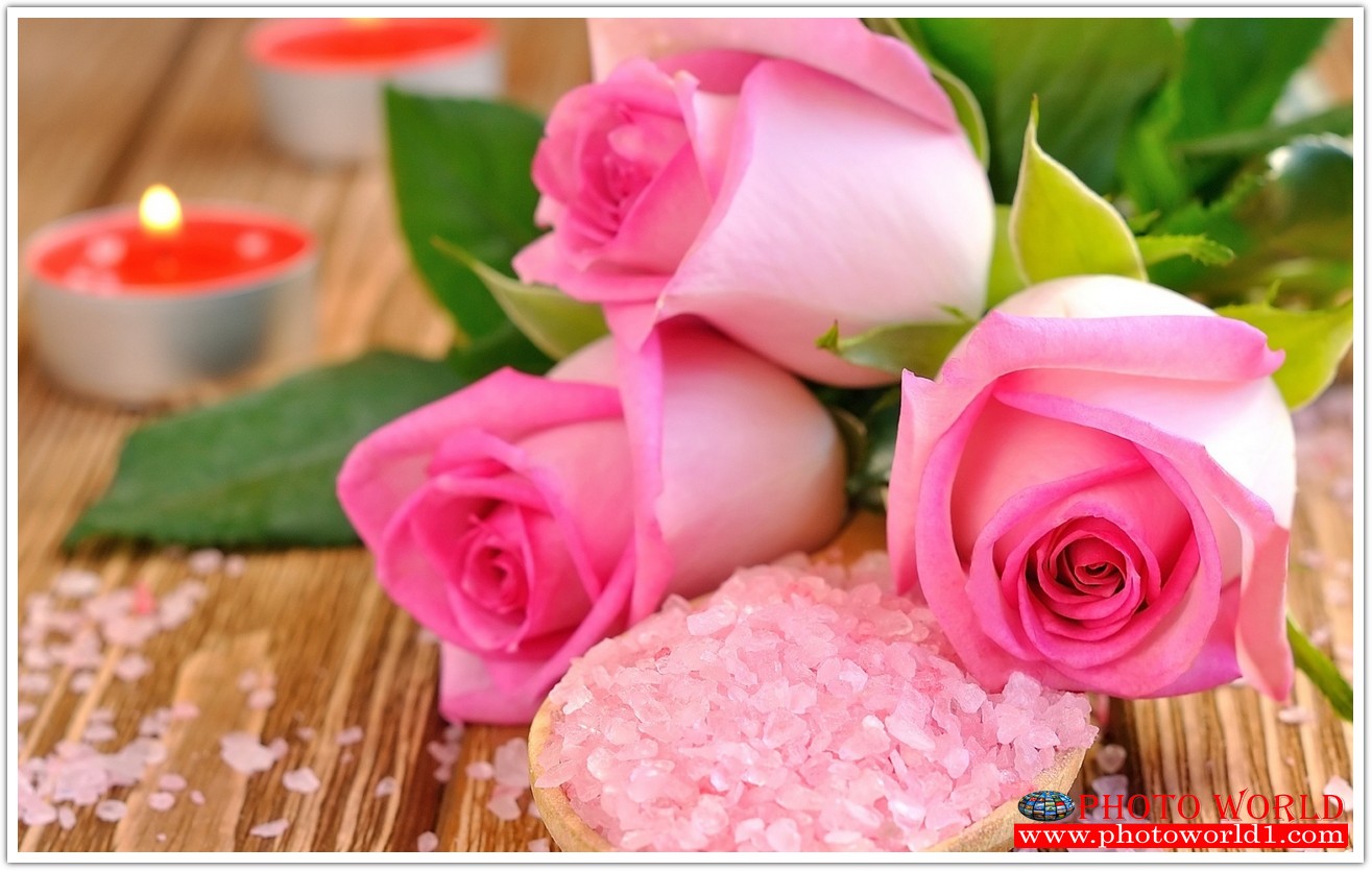 วอลเปเปอร์รูปภาพติดผนังสั่งทำ มีภาพให้เลือกกว่า 50,000 ภาพ ออกแบบกราฟฟิค หรือ รูปภาพตามที่ท่านกำหนด ในสไตล์ท่านเอง "custom made"