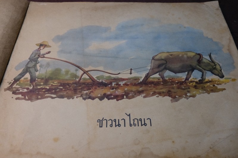 คู่มือครูชั้นประถมปีทีหนึ่ง ของ กระทรวงศึกษาธิการ ภาพผนัง สำหรับหนังสือ "ฝนตกแดดออก” ปี 2498