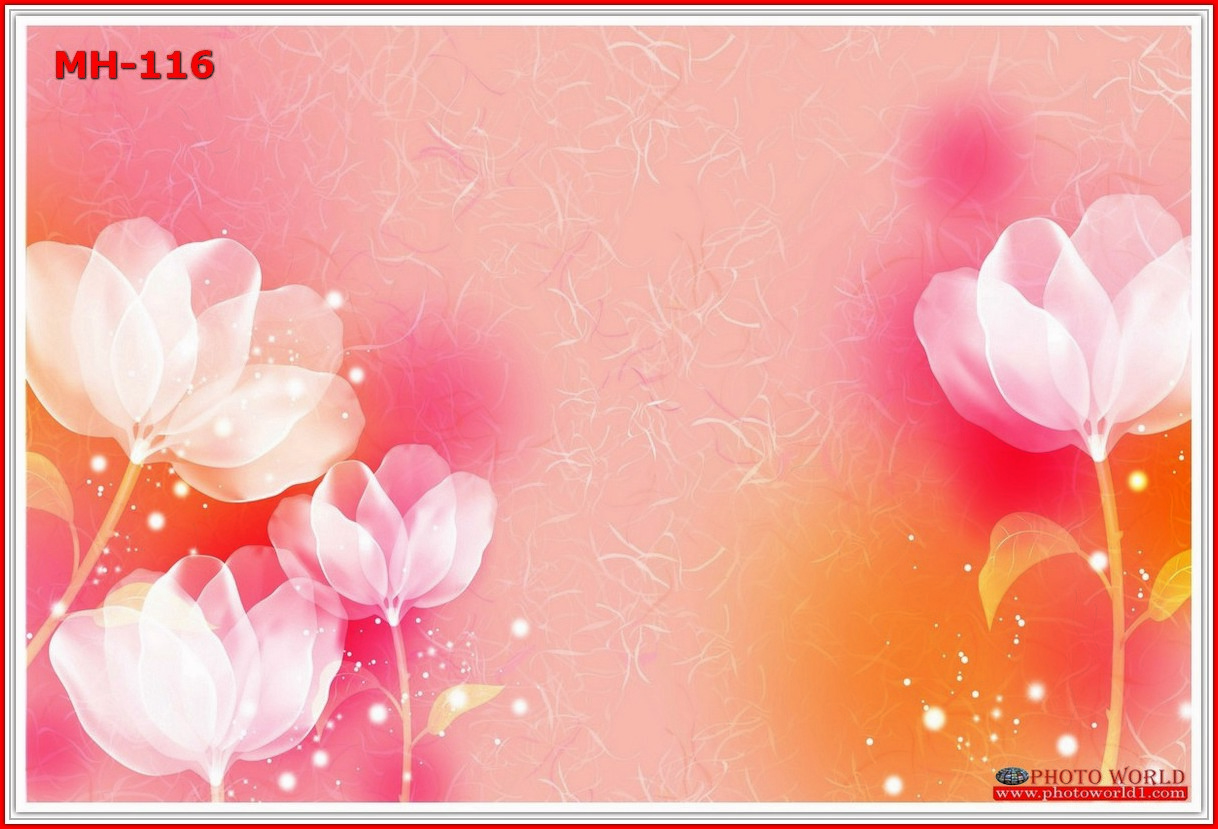 วอลเปเปอร์รูปภาพติดผนังสั่งทำ มีภาพให้เลือกกว่า 50,000 ภาพ ออกแบบกราฟฟิค หรือ รูปภาพตามที่ท่านกำหนด ในสไตล์ท่านเอง "custom made"