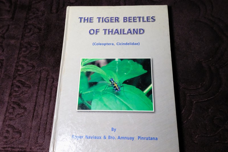 the tiger beetles of thailand (cocoleoptera,cicindelidae) by roger naviaux and amnuay pinratana