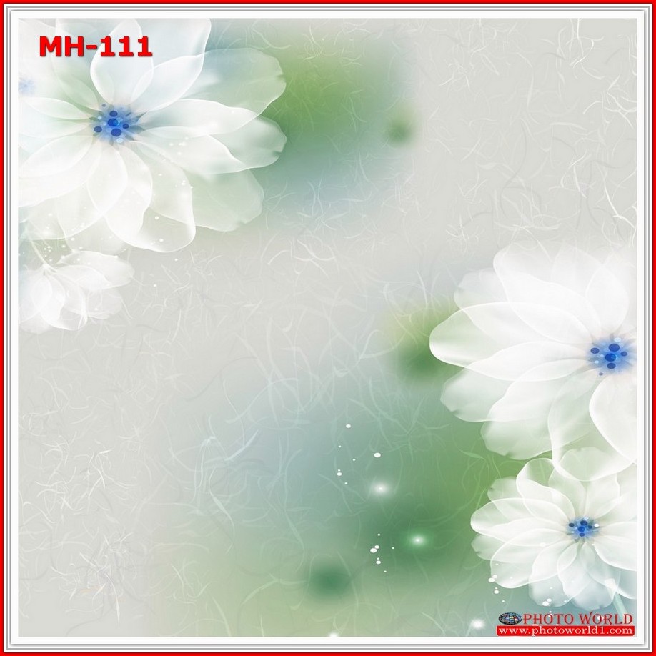 วอลเปเปอร์รูปภาพติดผนังสั่งทำ มีภาพให้เลือกกว่า 50,000 ภาพ ออกแบบกราฟฟิค หรือ รูปภาพตามที่ท่านกำหนด ในสไตล์ท่านเอง "custom made"