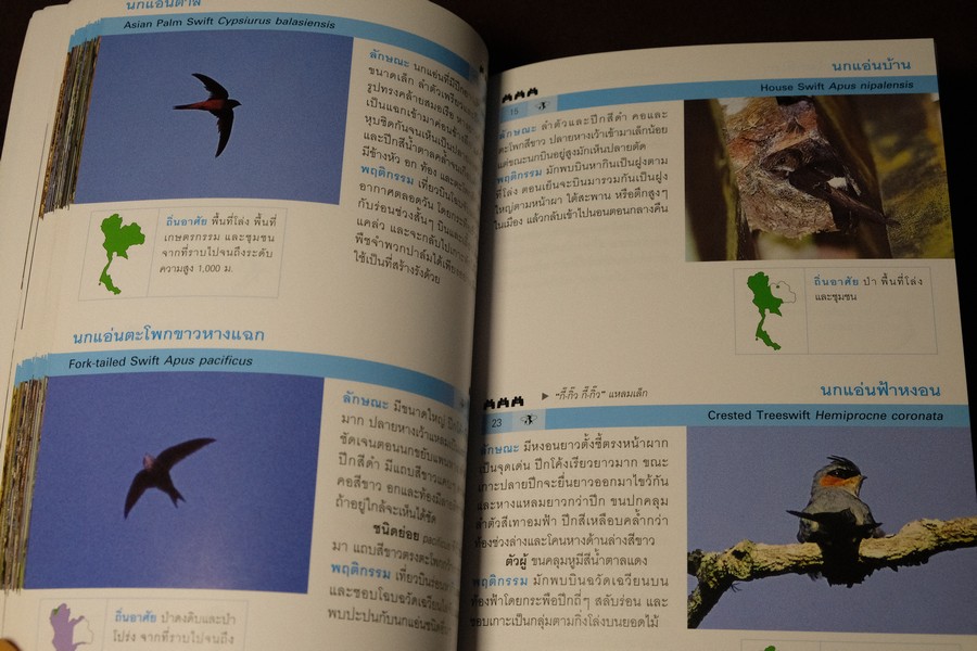 Thailand Bird Guide โดย ร่งโรจน์ จุกมงคล ปี 2549