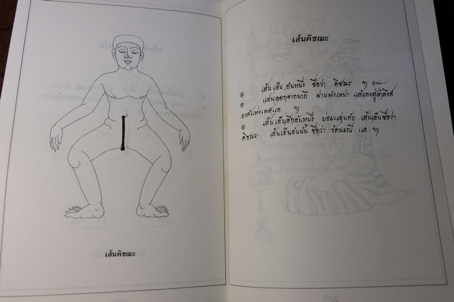 80 ท่าบท ฤาษีดัดตน วัดโพธิ์ โดย นายขยะ หนา 197 หน้า ปี 2537