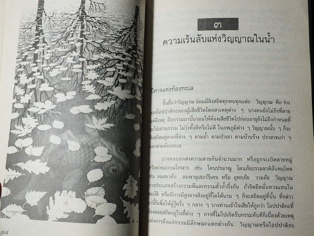 รหัสวิทยา พลังเร้นลับ ที่มาของอาถรรพณ์เเละอำนาจเร้นลับ โดย พลูหลวง หนา 211 หน้า ปี 2535