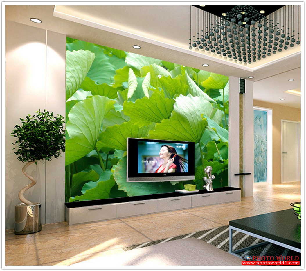 วอลเปเปอร์รูปภาพติดผนังสั่งทำ มีภาพให้เลือกกว่า 50,000 ภาพ ออกแบบกราฟฟิค หรือ รูปภาพตามที่ท่านกำหนด ในสไตล์ท่านเอง "custom made"