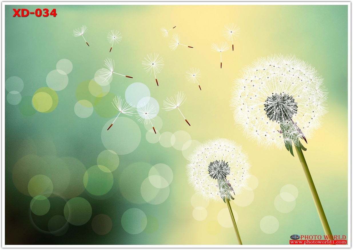 วอลเปเปอร์รูปภาพติดผนังสั่งทำ มีภาพให้เลือกกว่า 50,000 ภาพ ออกแบบกราฟฟิค หรือ รูปภาพตามที่ท่านกำหนด ในสไตล์ท่านเอง "custom made"