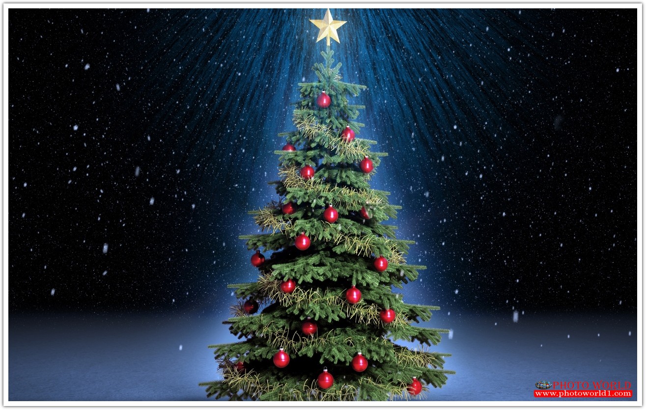 วอลเปเปอร์รูปภาพติดผนังสั่งทำ มีภาพให้เลือกกว่า 50,000 ภาพ ออกแบบกราฟฟิค หรือ รูปภาพตามที่ท่านกำหนด ในสไตล์ท่านเอง "custom made"