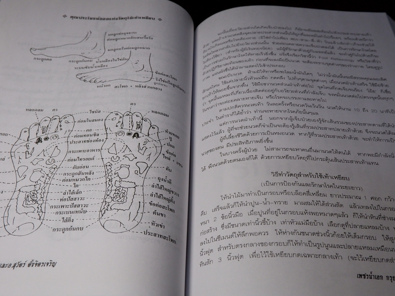 เพชรน้ำเอก กรุยอดตำรับยาสมุนไพร หลักการรักษาโรคตามแบบแผนพื้นบ้าน ครบทุกรูปแบบ ทุกแขนง