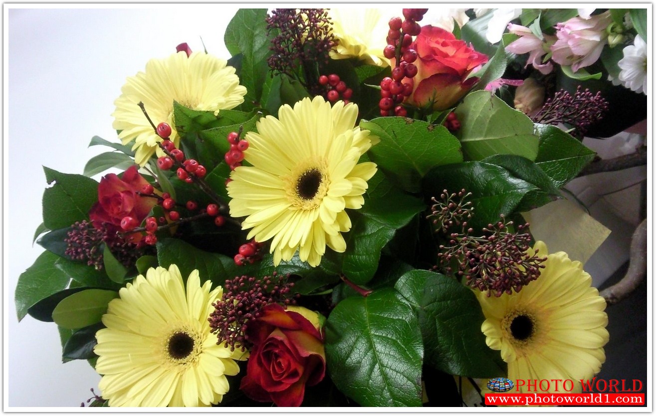 วอลเปเปอร์รูปภาพติดผนังสั่งทำ มีภาพให้เลือกกว่า 50,000 ภาพ ออกแบบกราฟฟิค หรือ รูปภาพตามที่ท่านกำหนด ในสไตล์ท่านเอง "custom made"