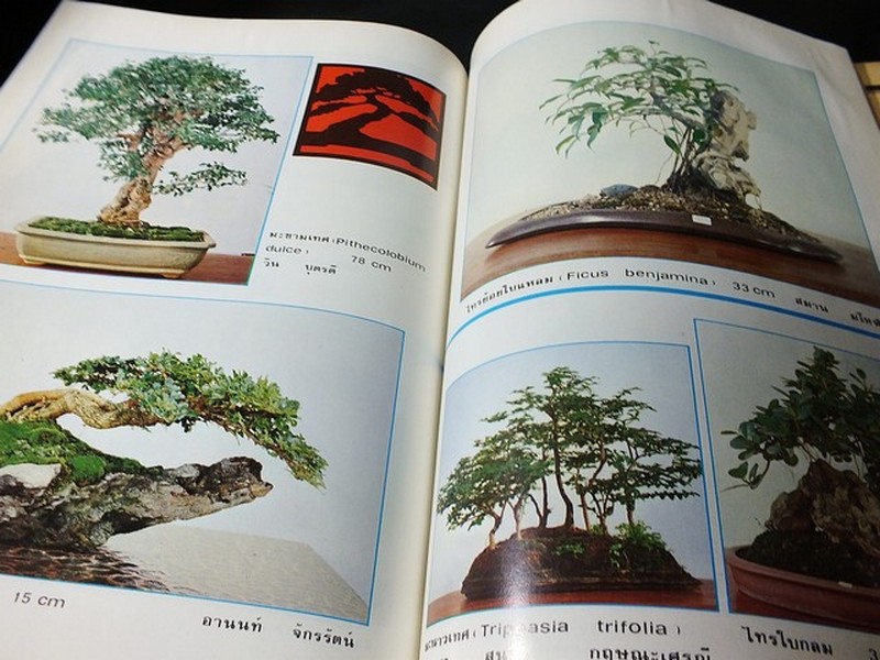 บอนไซ 01 02 03 รวม 3 เล่ม โดยชมรมบอนไซ(ไม้เเคระ) เเห่งประเทศไทย //สอบถาม//