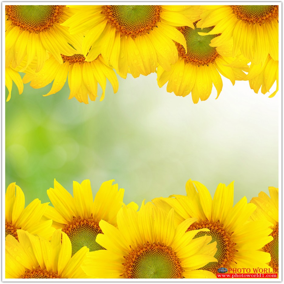 วอลเปเปอร์รูปภาพติดผนังสั่งทำ มีภาพให้เลือกกว่า 50,000 ภาพ ออกแบบกราฟฟิค หรือ รูปภาพตามที่ท่านกำหนด ในสไตล์ท่านเอง "custom made"