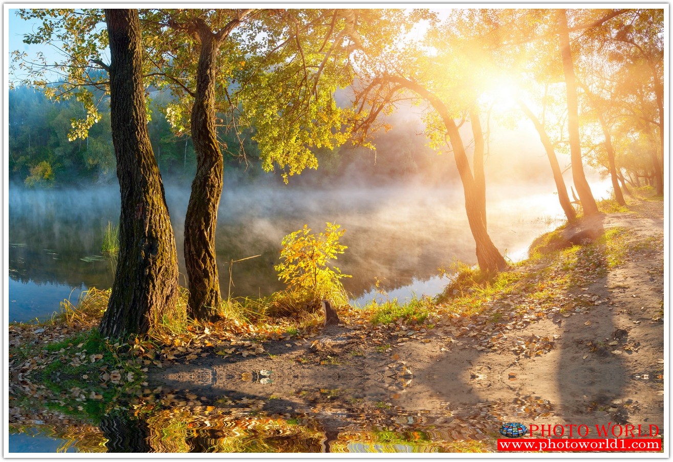 NATURAL วอลเปเปอร์รูปภาพติดผนังสั่งทำ มีภาพให้เลือกกว่า 50,000 ภาพ ออกแบบกราฟฟิค หรือ รูปภาพตามที่ท่านกำหนด ในสไตล์ท่านเอง "custom made"