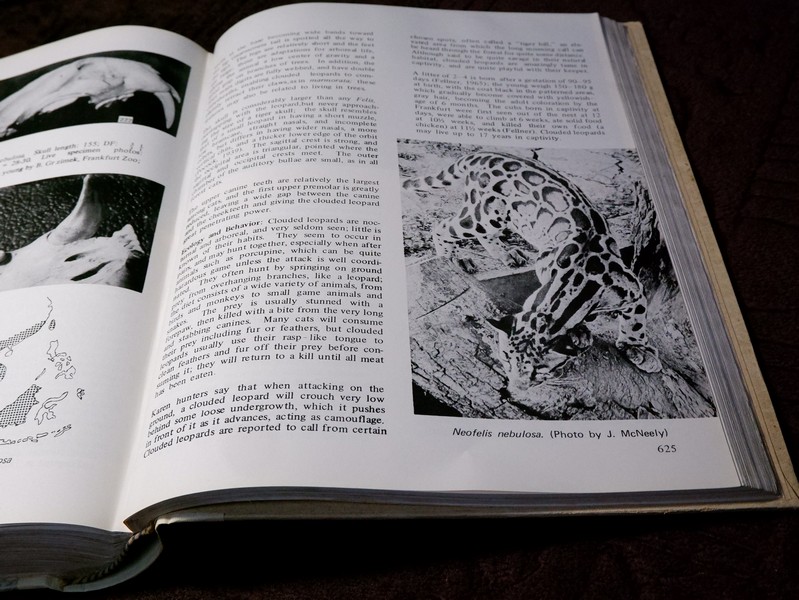Mammals of Thailand by Boonsong Lekagul & Jeffrey A.Mc Neely 1`st Edition 1977 (สอบถาม)
