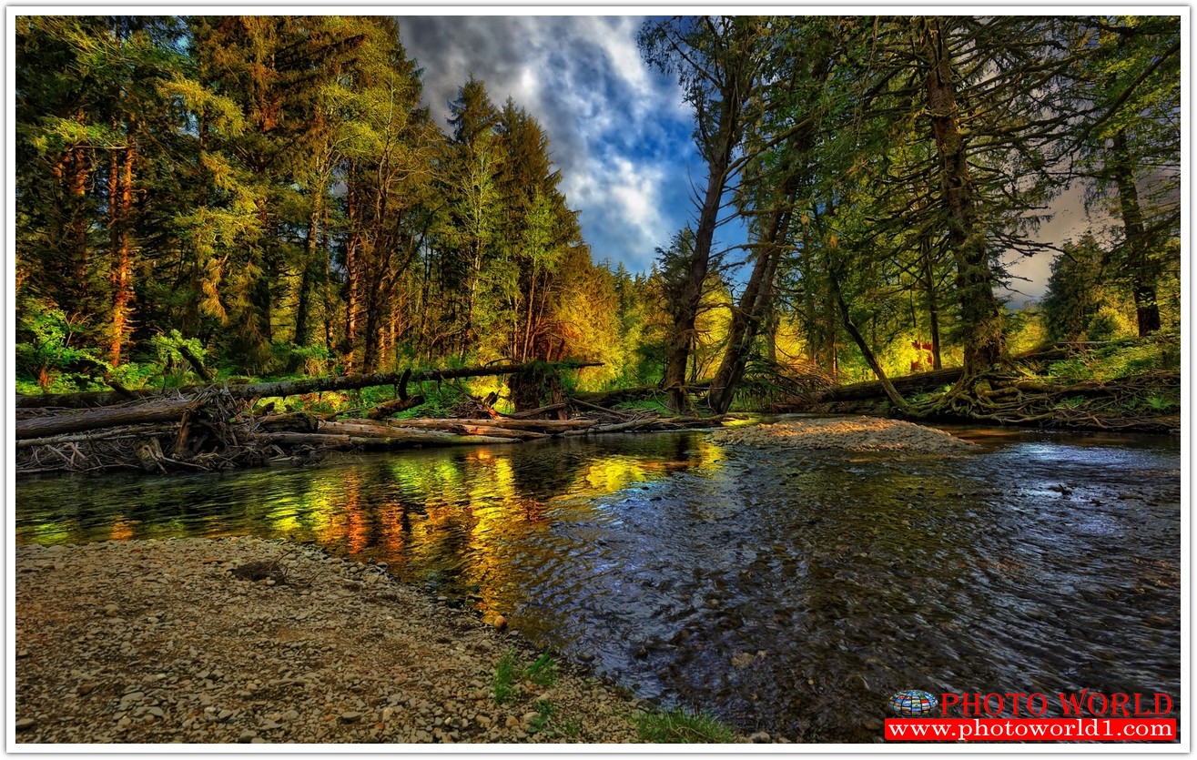 NATURAL วอลเปเปอร์รูปภาพติดผนังสั่งทำ มีภาพให้เลือกกว่า 50,000 ภาพ ออกแบบกราฟฟิค หรือ รูปภาพตามที่ท่านกำหนด ในสไตล์ท่านเอง "custom made"