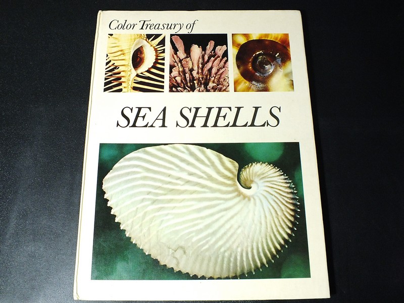 SEA SHELLS : how to identify and collect them . ปกแข็ง พิมพ์ปี 1968