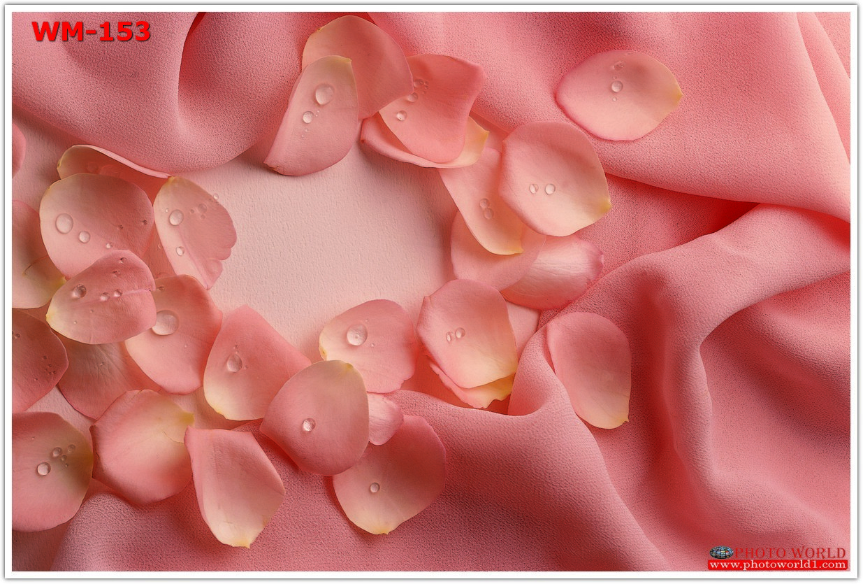 วอลเปเปอร์รูปภาพติดผนังสั่งทำ มีภาพให้เลือกกว่า 50,000 ภาพ ออกแบบกราฟฟิค หรือ รูปภาพตามที่ท่านกำหนด ในสไตล์ท่านเอง "custom made"