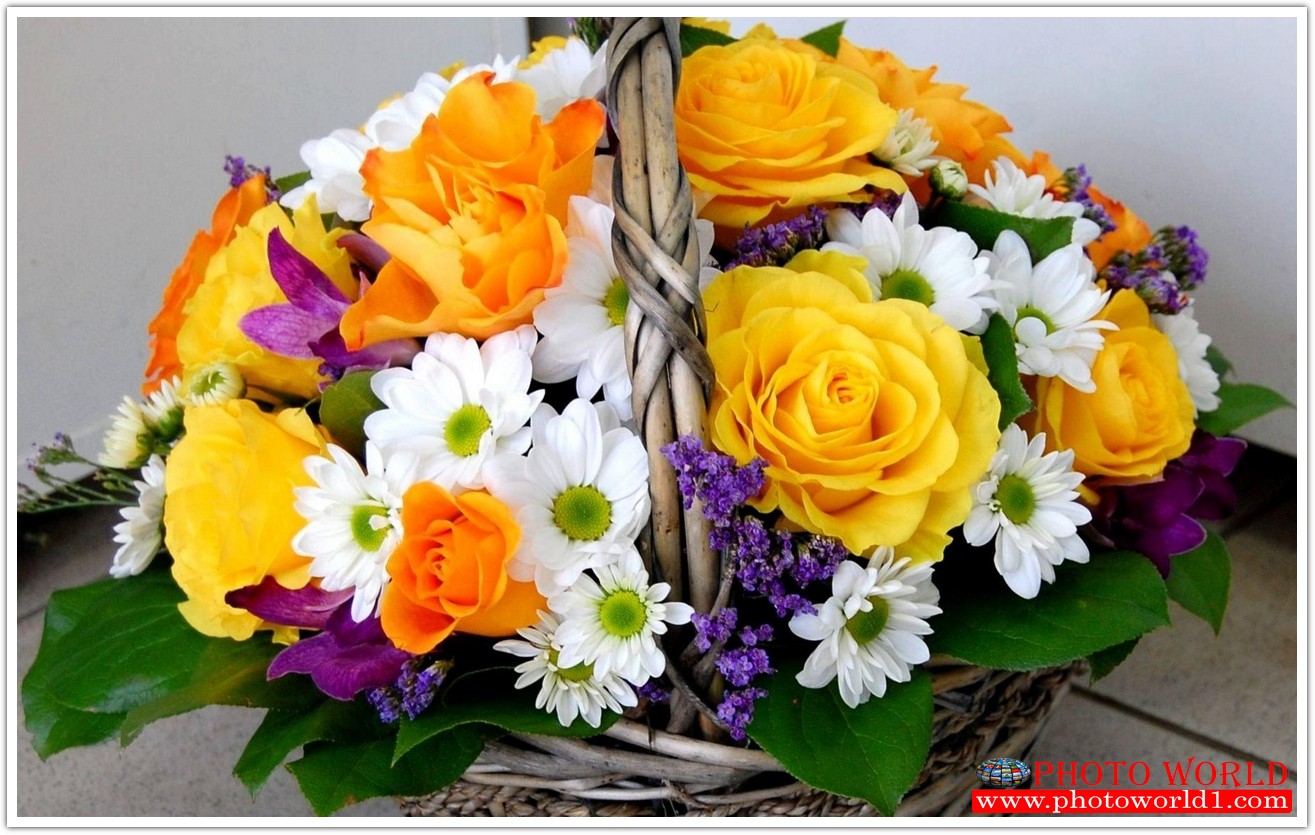 วอลเปเปอร์รูปภาพติดผนังสั่งทำ มีภาพให้เลือกกว่า 50,000 ภาพ ออกแบบกราฟฟิค หรือ รูปภาพตามที่ท่านกำหนด ในสไตล์ท่านเอง "custom made"