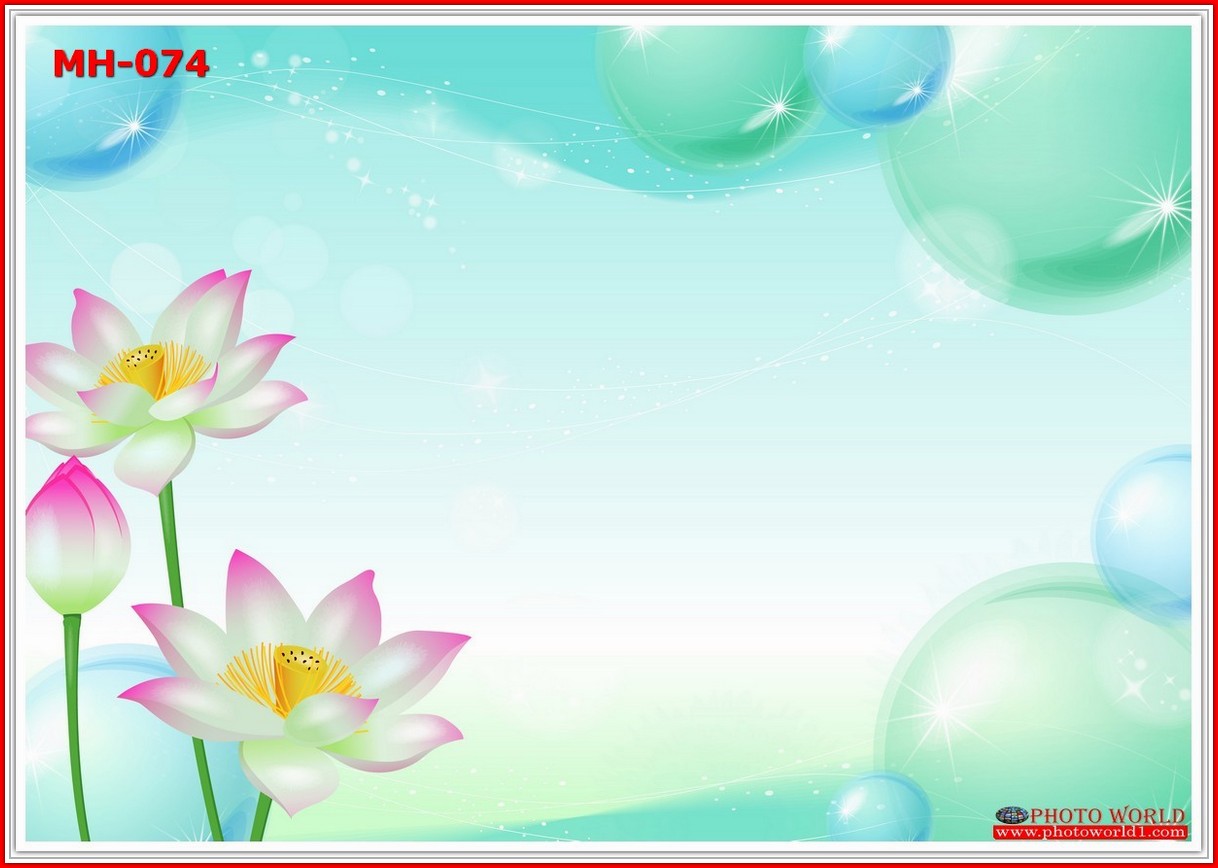 วอลเปเปอร์รูปภาพติดผนังสั่งทำ มีภาพให้เลือกกว่า 50,000 ภาพ ออกแบบกราฟฟิค หรือ รูปภาพตามที่ท่านกำหนด ในสไตล์ท่านเอง "custom made"