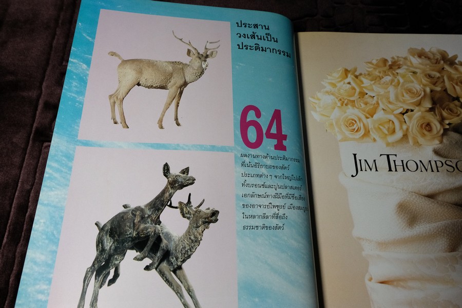 COLLECTION & HOUSE ฉบับพิเศษ บ้านริมน้ำ ปกเเข็ง ปี 2538 (ขายตามสภาพ)