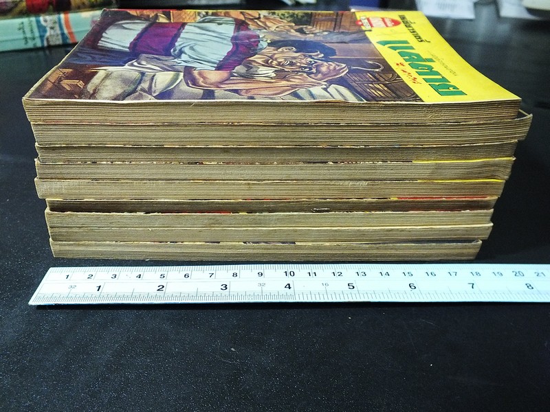 เหยี่ยวราตรี โดย ส.เนาวราช สนพ.บางกอก รวม 9 เล่ม มือพิฆาต หลั่งเลือด สื่อประลัย มายาคำรณทัณฑ์นรก ดับดาวร้าย ถล่มรัง บุรุษเผือก เเค่ตาย