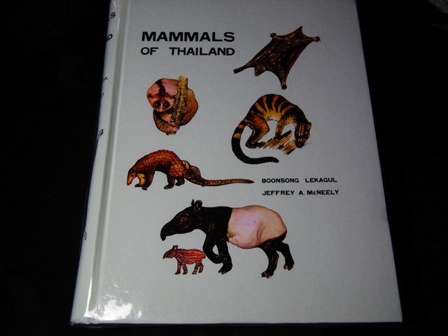 Mammals of Thailand by Boonsong Lekagul & Jeffrey A.Mc Neely . บุญส่ง เลขะกุล