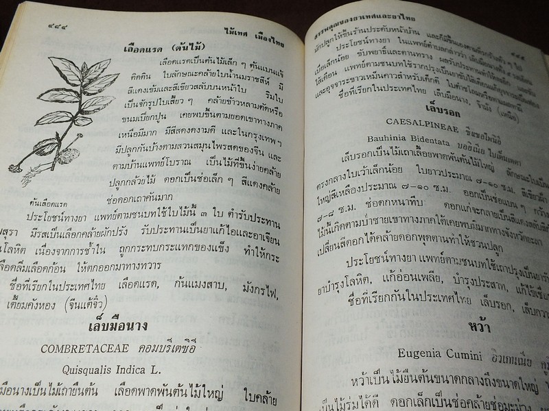 ไม้เทศเมืองไทย สรรพคุณยาเทศเเละยาไทย โดย หมอเสงี่ยม พงษ์บุญรอด ปกแข็ง 652 หน้า ปี 2522