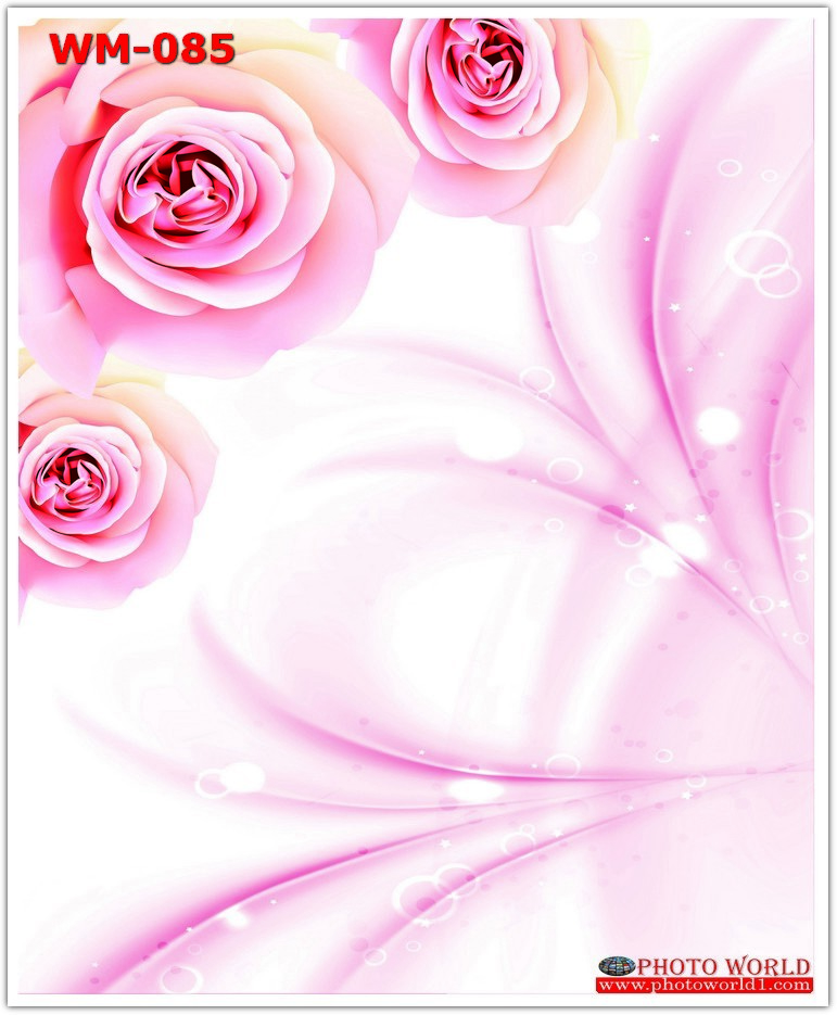 วอลเปเปอร์รูปภาพติดผนังสั่งทำ มีภาพให้เลือกกว่า 50,000 ภาพ ออกแบบกราฟฟิค หรือ รูปภาพตามที่ท่านกำหนด ในสไตล์ท่านเอง "custom made"