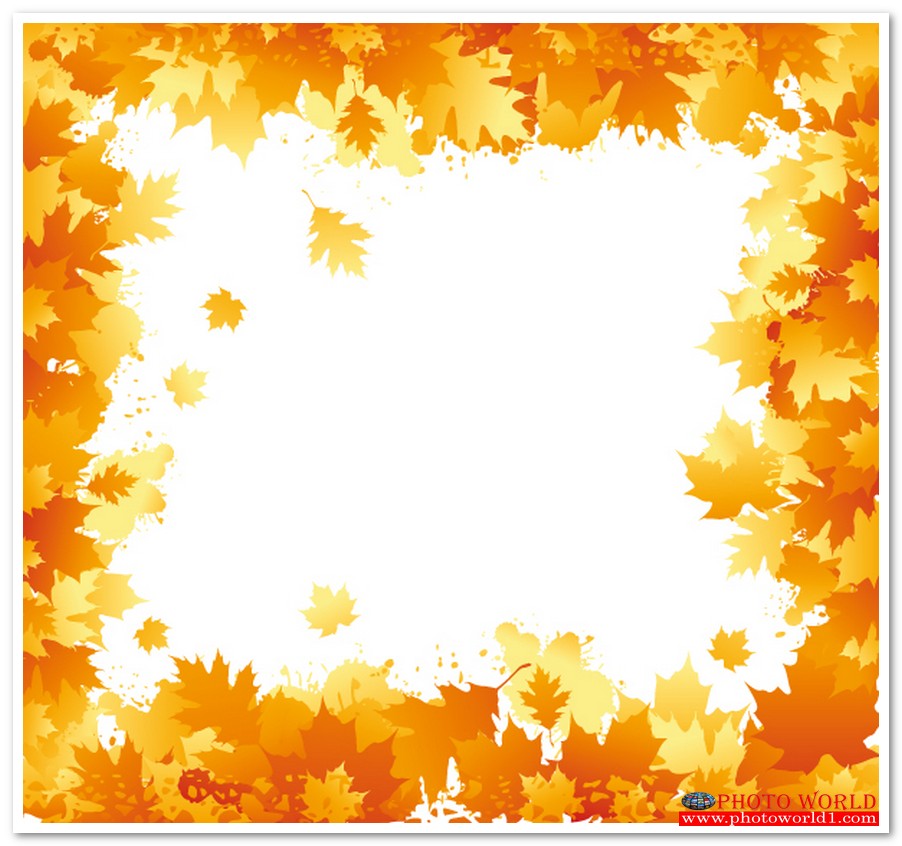 กรอบดอกไม้(FLOWER) สั่งทำวอลเปเปอร์ รูปภาพติดผนัง มีภาพให้เลือกกว่า 50,000 ภาพ ออกแบบกราฟฟิค หรือ รูปภาพตามที่ท่านกำหนด ในสไตล์ท่านเอง "custom made"