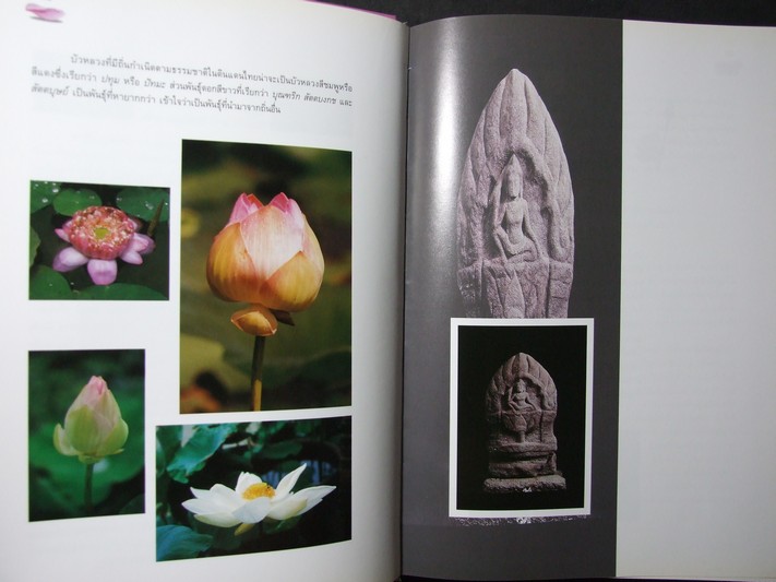 บัว องค์ประกอบประวัติศาสตร์ ศิลปวัฒนธรรมไทย โดย กรมศิลปากร ปกแข็ง 359 หน้า ปี 2540