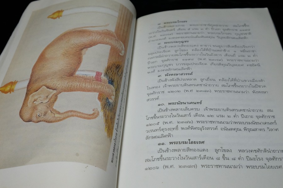 ช้างไทย โดย สุทธิลักษณ์ อำพันวงศ์ หนา 400 หน้า ปี 2537 (มีตำหนิ)