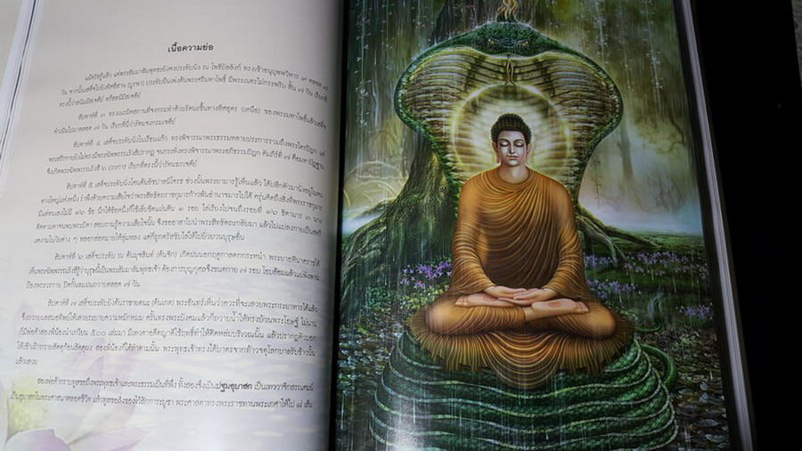 สมุดภาพ ปฐมสมโพธิกถา วรรณคดีพระพุทธศาสนาพากษ์ไทย คัมภีร์เเสดงเรื่องราวของพระพุทธเจ้า โดย ธรรมสภา ปกแข็ง หนา 550 หน้า หนัก 2.5 กก