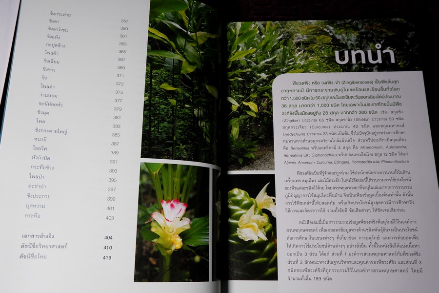 พืชวงศ์ขิง ในสวนพฤกษศาตร์สมเด็จพระนางเจ้าสิริกิติ์ ปกเเข็ง 436 หน้า