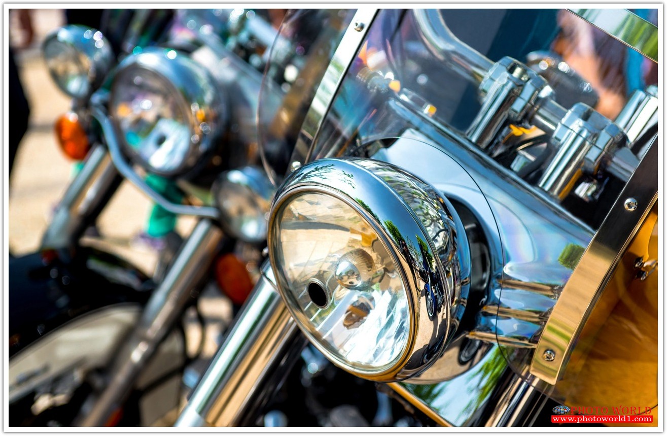 วอลเปเปอร์รูปภาพติดผนังสั่งทำ มีภาพให้เลือกกว่า 50,000 ภาพ ออกแบบกราฟฟิค หรือ รูปภาพตามที่ท่านกำหนด ในสไตล์ท่านเอง "custom made"