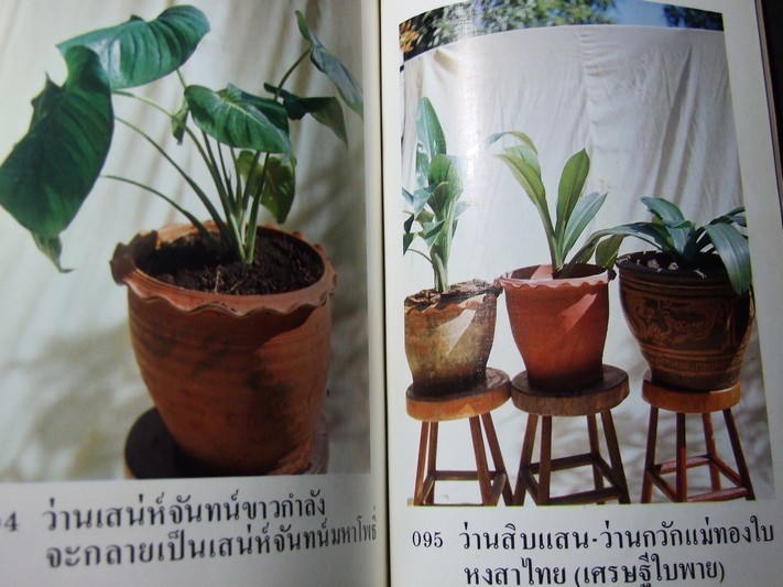 คัมภีร์ว่าน และไม้มงคล โดย สนั่น ทวีสมบัติ ปกแข็ง 212 หน้า พิมพ์ปี 2524