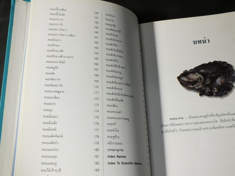 หอยเป็นยา ตามตำรับยาการเเพทย์เเผนไทย โดย เเพทย์หญิงเพ็ญนภา ทรัพย์เจริญ ปกแข็ง ปี 2545