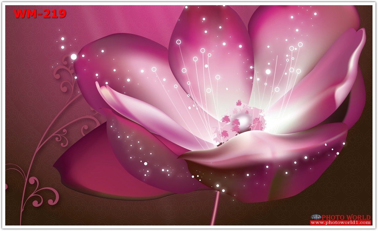 วอลเปเปอร์รูปภาพติดผนังสั่งทำ มีภาพให้เลือกกว่า 50,000 ภาพ ออกแบบกราฟฟิค หรือ รูปภาพตามที่ท่านกำหนด ในสไตล์ท่านเอง "custom made"