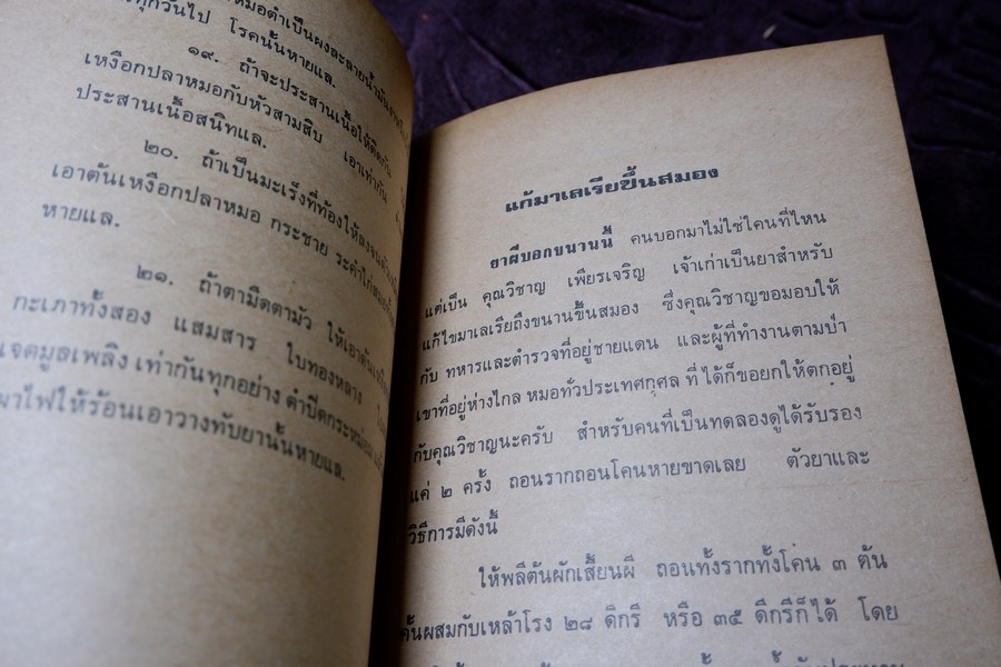 ตำรา ยาผีบอก โดย ยียวน รวมยากว่า 100 ขนาน