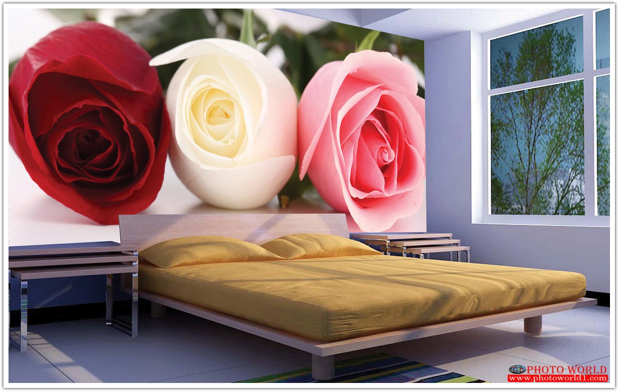 วอลเปเปอร์รูปภาพติดผนังสั่งทำ มีภาพให้เลือกกว่า 50,000 ภาพ ออกแบบกราฟฟิค หรือ รูปภาพตามที่ท่านกำหนด ในสไตล์ท่านเอง "custom made"