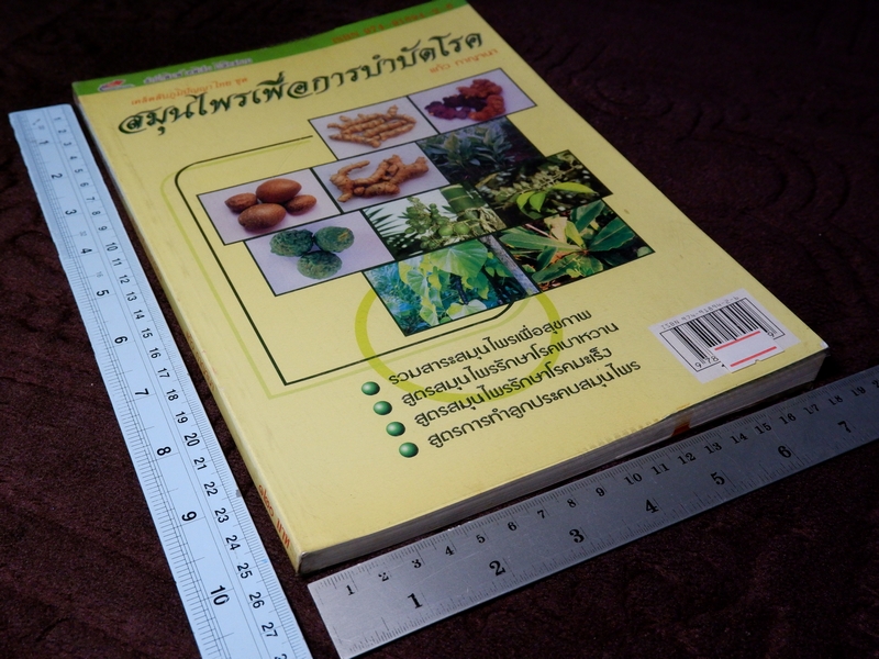 สมุนไพรเพื่อการบำบัดโรค เเก้ว กาญจนา