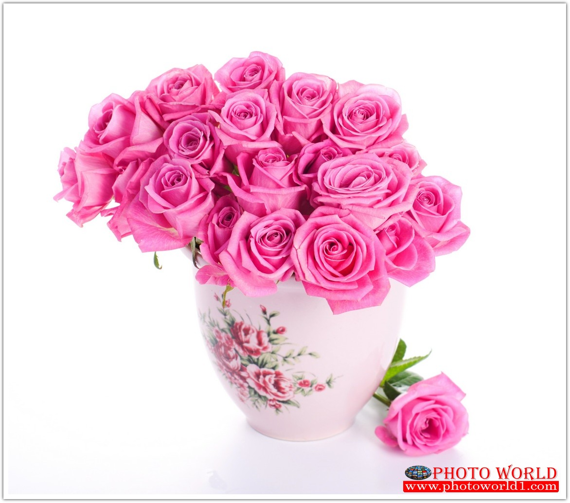 วอลเปเปอร์รูปภาพติดผนังสั่งทำ มีภาพให้เลือกกว่า 50,000 ภาพ ออกแบบกราฟฟิค หรือ รูปภาพตามที่ท่านกำหนด ในสไตล์ท่านเอง "custom made"