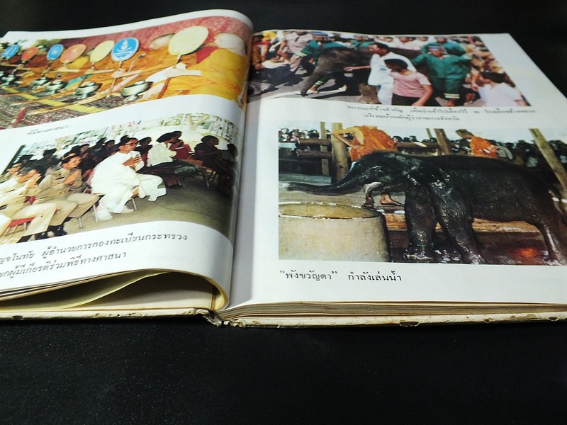 พระราชพิธีสมโภชช้างเผือก 3 เชือก ณ จังหวัดเพชรบุรี พ.ศ.2521 ปกแข็ง