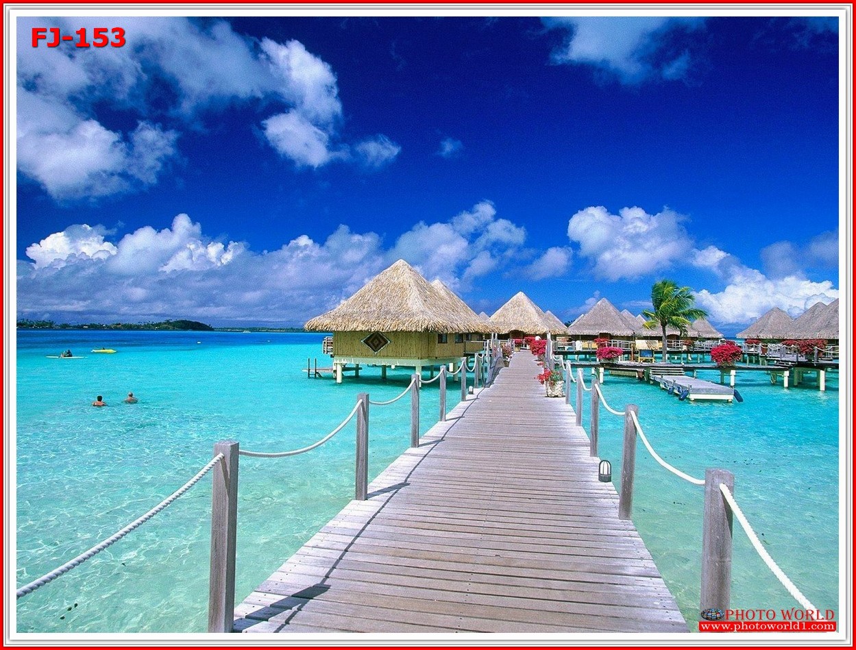 วอลเปเปอร์รูปภาพติดผนังสั่งทำ มีภาพให้เลือกกว่า 50,000 ภาพ ออกแบบกราฟฟิค หรือ รูปภาพตามที่ท่านกำหนด ในสไตล์ท่านเอง "custom made"